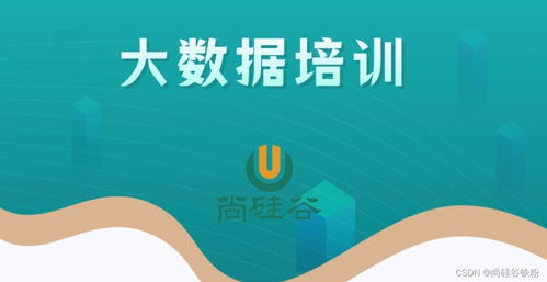 零基礎(chǔ)入門大數(shù)據(jù)開(kāi)發(fā)技術(shù) 從構(gòu)建知識(shí)體系到實(shí)戰(zhàn)的完整路徑